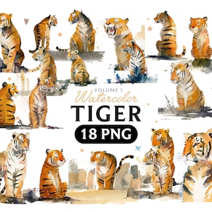 Tiger Png, Watercolor Tiger, Tiger clipart, Tiger PNG, Tiger clipart, Tiger art, Tiger, digital, animal, Volume 1