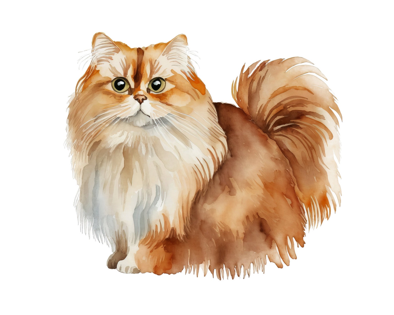British Longhair Watercolor Clipart: 18 Cat Animal Pngs (digital ...