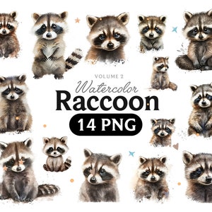 Raton laveur Png, raton laveur aquarelle, raton laveur clipart, animal raton laveur, raton laveur clipart, raton laveur art, arc, numérique, animal, Volume 2