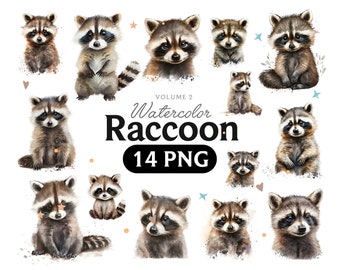 Watercolor Raccoon Clipart: Animal PNG Images, Bow Art (Digital Download)