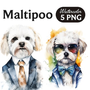 Maltipoo Clipart, Cute Dog Clipart, Dog PNG, Watercolor Maltipoo PNG, Dog Portrait, Cool Dog