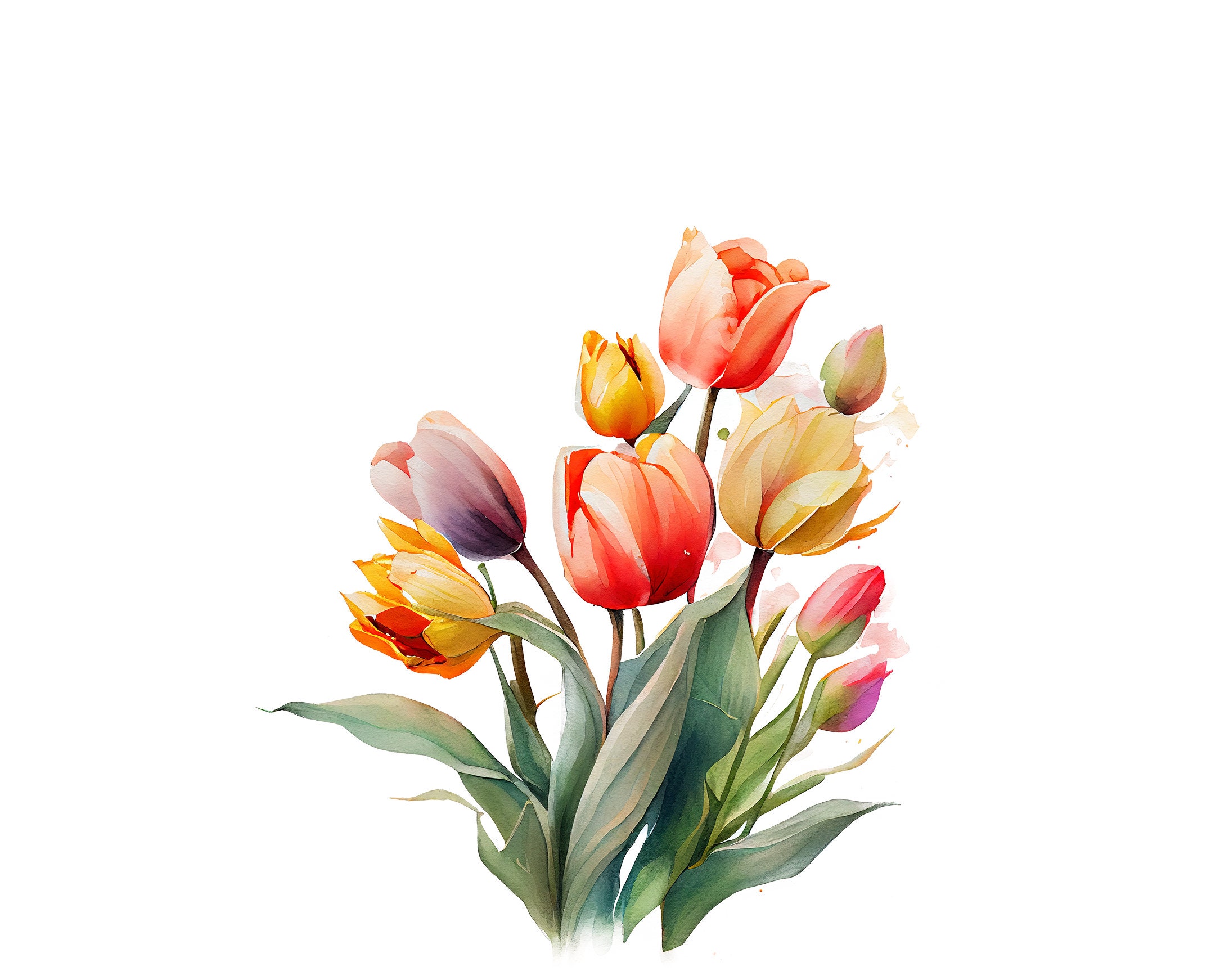 Watercolor Tulip Clipart Bundle: Spring Floral Designs (18 PNG ...