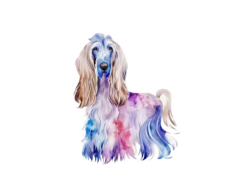 Afghan Hound Watercolor Clipart, Afghan Hound Watercolor Png, Cute Afghan Hound Nursery Decor Wall Art, Little Pet Dog Animal PNG image 4