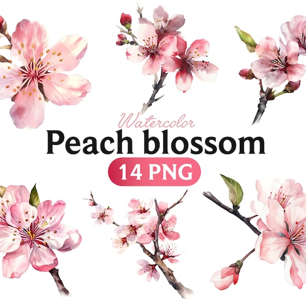 Watercolor Peach Blossom, Peach Blossom clipart, Peach Blossom PNG, Peach Blossom art, Peach Blossom, Peach Blossom digital