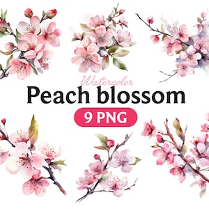 Acquerello di fiori di pesco, clipart di fiori di pesco, PNG di fiori di pesco, arte di fiori di pesco, fiori di pesco, fiori di pesco digitali, 2