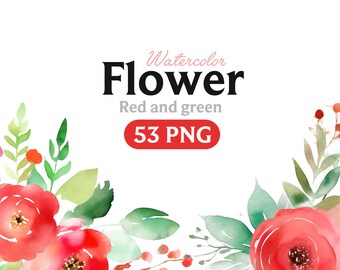 Clipart fleur aquarelle rouge et verte : 53 illustrations PNG (téléchargement numérique)