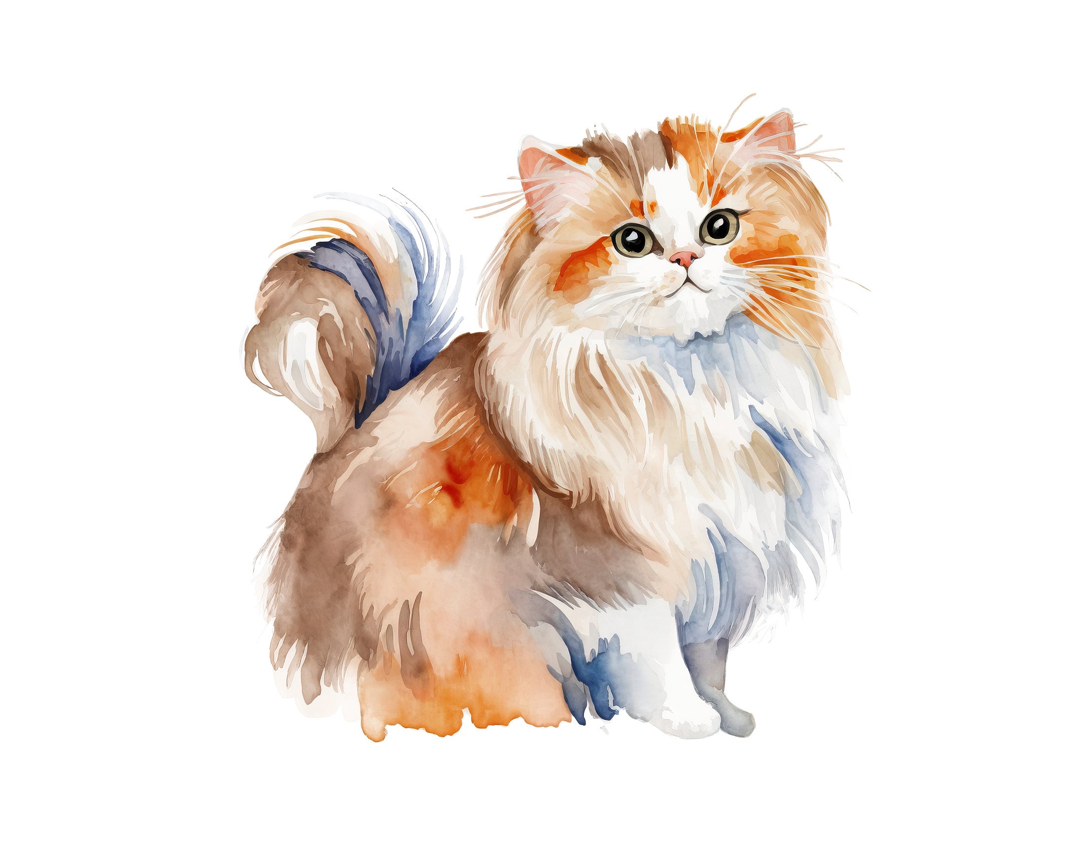British Longhair Watercolor Clipart: 18 Cat Animal Pngs (digital ...