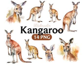 Clipart de canguru em aquarela: animal australiano PNG (14 arquivos)