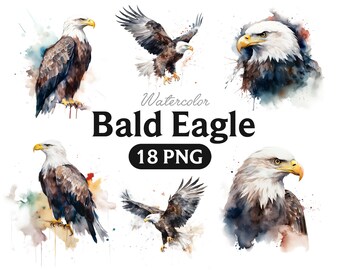 Watercolor Bald Eagle Clipart, Alpine forest eagle PNG format instant download for commercial use