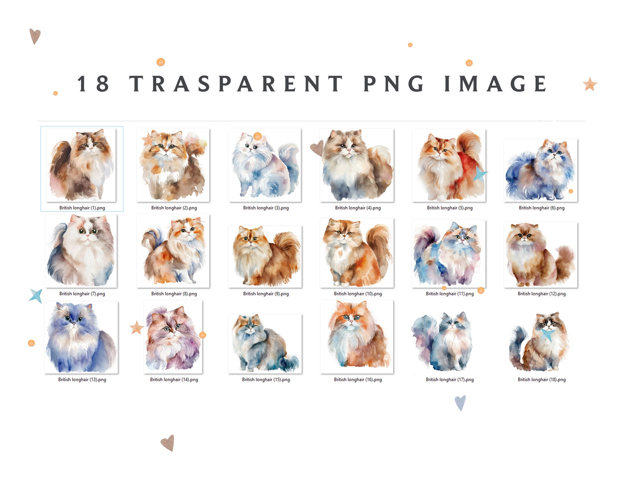 British Longhair Watercolor Clipart: 18 Cat Animal Pngs (digital ...
