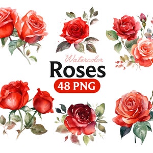 Roses Flowers PNG, Watercolor Flower Clipart, Roses Flowers Bundle Illustrations, Instant Download, Digital Png