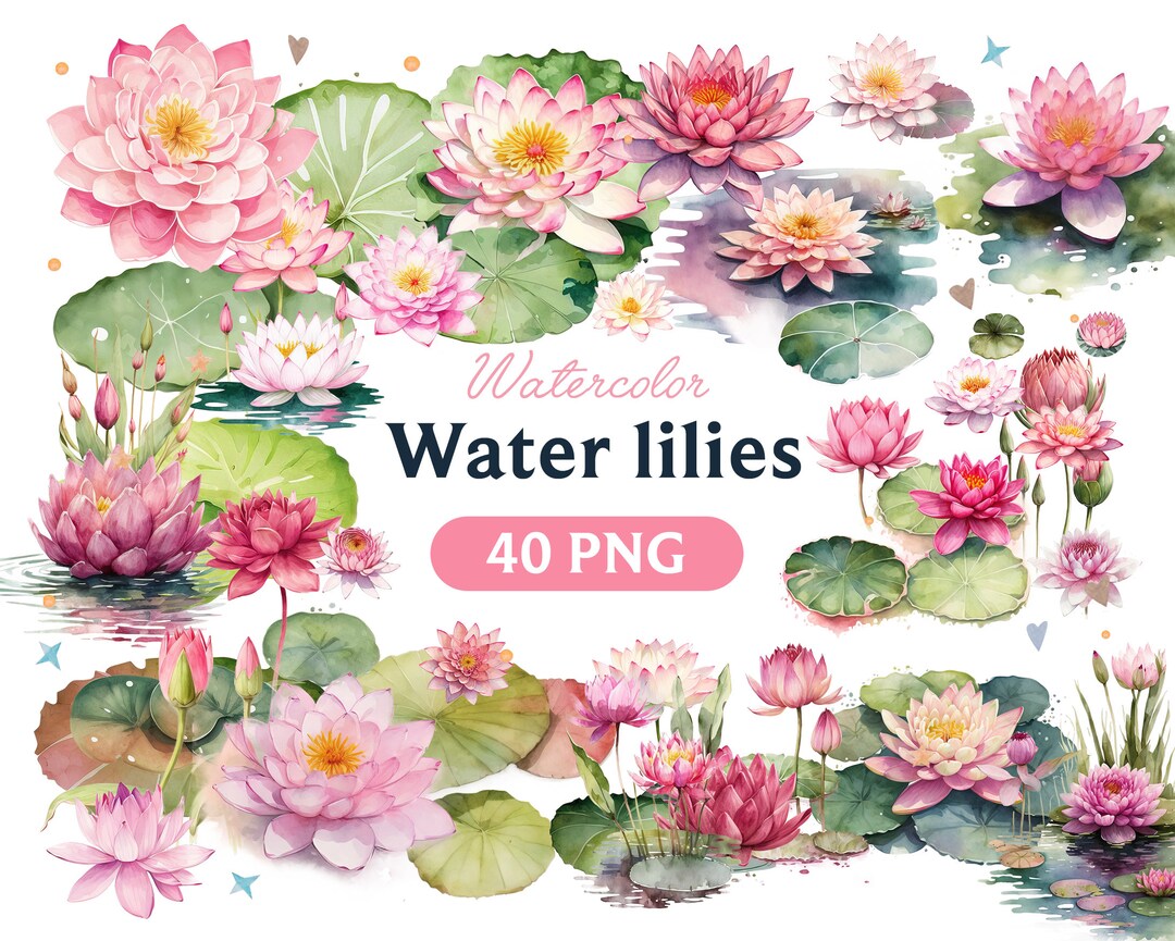 Watercolor Water Lilies Clipart: 40 PNG Floral Art (digital) - Etsy