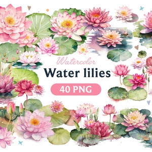 Nenúfares Png, Aquarela Nenúfares, Nenúfares clipart, Nenúfares clipart, Arte de Nenúfares, Nenúfares, digital