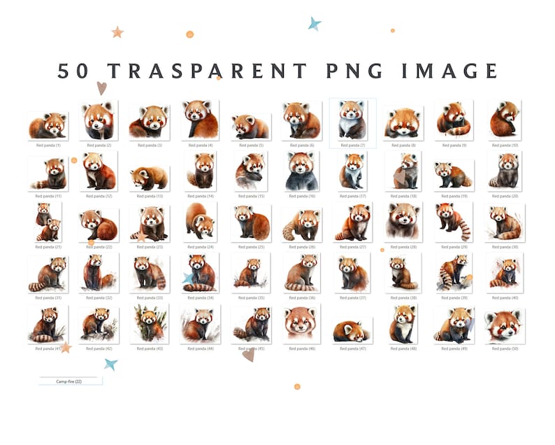 May include: A collection of 50 transparent PNG images featuring watercolor illustrations of red pandas in various poses. The images include the text "50 TRASPARENT PNG IMAGE" at the top and "Camp-fire (23)" at the bottom.