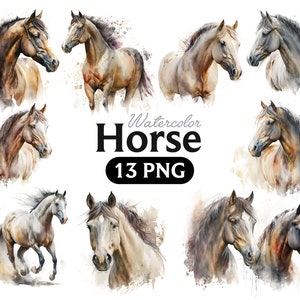 Watercolor Horse Clipart, Horse Clipart, Horse Png