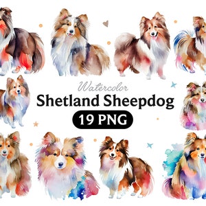 Sheltie Aquarell Clipart, Sheltie Aquarell Png, niedlicher Shetland Sheepdog Kinderzimmer Dekor Wandkunst, kleiner Haustier Hund Tier PNG