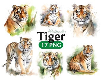Watercolor Tiger Clipart: 17 PNG Animal Graphics (Digital Download)