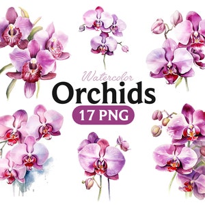 Watercolor Orchid Clipart - spring floral PNG format instant download for commercial use