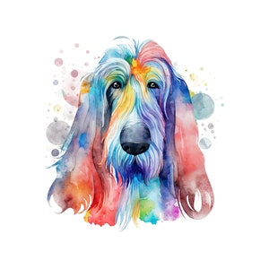 Afghan Hound Watercolor Clipart, Afghan Hound Watercolor Png, Cute Afghan Hound Nursery Decor Wall Art, Little Pet Dog Animal PNG image 7
