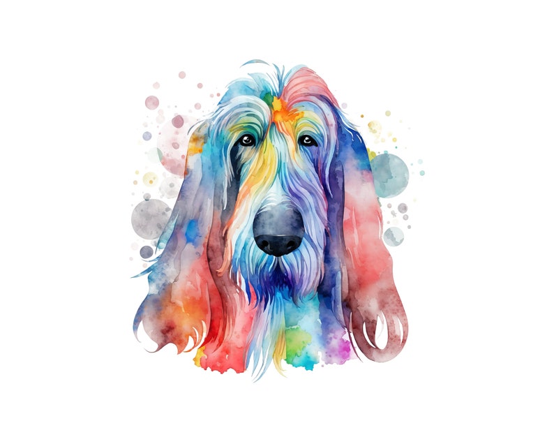 Afghan Hound Watercolor Clipart, Afghan Hound Watercolor Png, Cute Afghan Hound Nursery Decor Wall Art, Little Pet Dog Animal PNG image 7