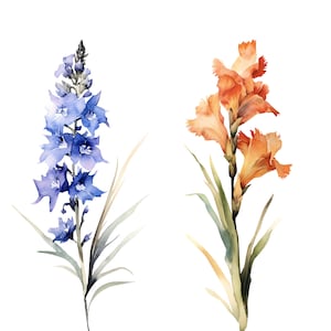 Puede incluir: Pintura de acuarela de dos flores. Una flor es azul y la otra es naranja. Ambas flores tienen tallos y hojas verdes.