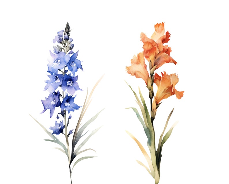 Puede incluir: Pintura de acuarela de dos flores. Una flor es azul y la otra es naranja. Ambas flores tienen tallos y hojas verdes.