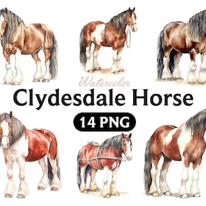 Clydesdale Pferd PNG, Clydesdale Pferd Aquarell