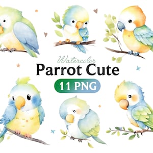 かわいいオウム PNG 水彩クリップアート