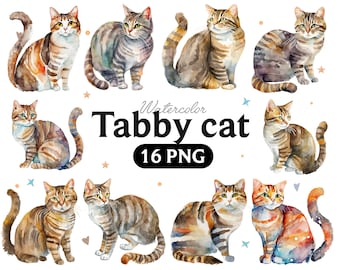 Watercolor Tabby Cat Clipart: Hand-Drawn PNG Set (16 Files)