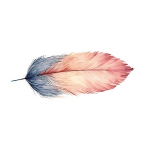 K&ouml;nnte beinhalten: Eine einzelne Aquarellfeder mit einem Farbverlauf von Blau und Rosa. Die Feder ist auf wei&szlig;em Hintergrund isoliert.