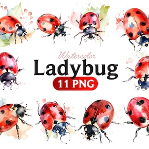 Biedronka Akwarela Clipart Ilustracja PNG