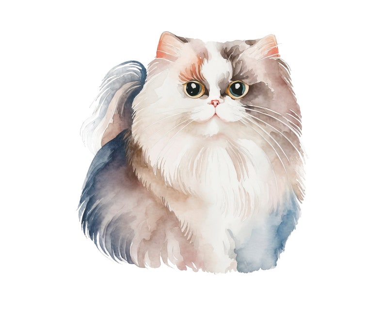 British Longhair Watercolor Clipart: 18 Cat Animal Pngs (digital ...
