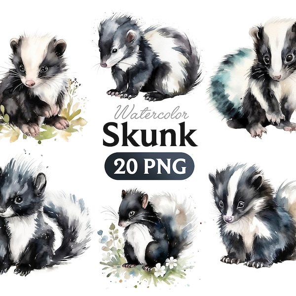 Skunk Watercolor Clipart, Skunk PNG, Cute Baby Shower Graphics, Nursery Decor Wall Art, Woodland Animal