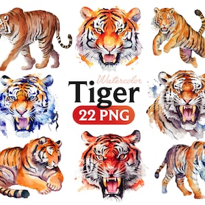 Tiger Png, Watercolor Tiger, Tiger clipart, Tiger PNG, Tiger clipart, Tiger art, Tiger, digital, animal, 2