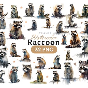 Raton laveur Png, raton laveur aquarelle, raton laveur clipart, animal raton laveur, raton laveur clipart, raton laveur art, arc, numérique, animal, Volume 1