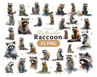 Watercolor Raccoon Clipart: Animal PNG Bundle (Digital Download)