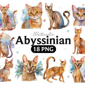 Abyssinian Watercolor Clipart, Abyssinian Watercolor Png, Cute Abyssinian Nursery Decor Wall Art, Little Pet Cat Animal PNG