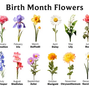 Geboortemaand bloemen clipart bundel commercieel gebruik geboorte bloem digitaal ontwerp bundel PNG-bestanden downloaden clipart