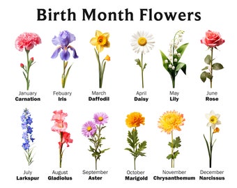 Clipartbundel geboortemaand bloemen: digitale bloemenontwerpen (PNG-bestanden)