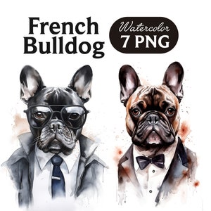 Clipart de buldogue francês, clipart de cachorro fofo, PNG de cachorro, PNG de buldogue francês em aquarela, retrato de cachorro, cachorro legal