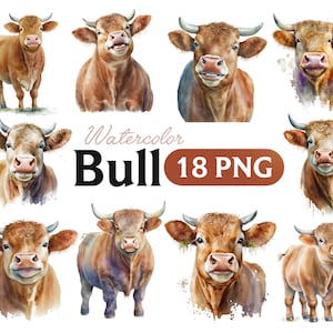 Watercolor Bull Clipart: 18 PNG Images (Digital Download)