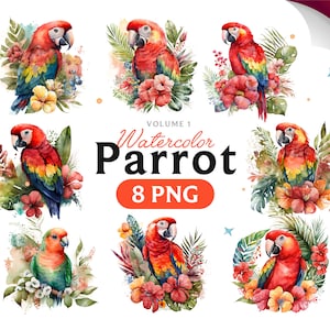 Watercolor Parrot, Parrot clipart, Parrot PNG, Parrot clipart, Parrot art, Parrot, digital, Bird