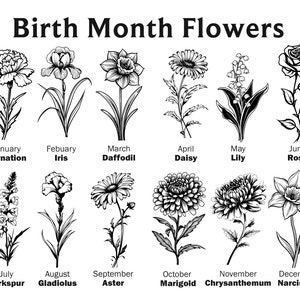 Birth Month Flowers Clipart Bundle Commercial Use Birth Flower Digital Design Bundle PNG Files Download Clipart vector