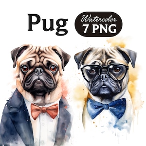 Pug Clipart, Cute Dog Clipart, Dog PNG, Watercolor Pug PNG, Dog Portrait, Cool Dog
