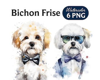 Bichon Frise Clipart, Cute Dog Clipart, Dog PNG, Watercolor Bichon Frise PNG, Dog Portrait, Cool Dog