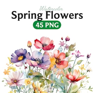 Fleurs de printemps PNG, aquarelle Floral Clipart Bouquets, éléments, utilisation commerciale, clipart numérique PNG