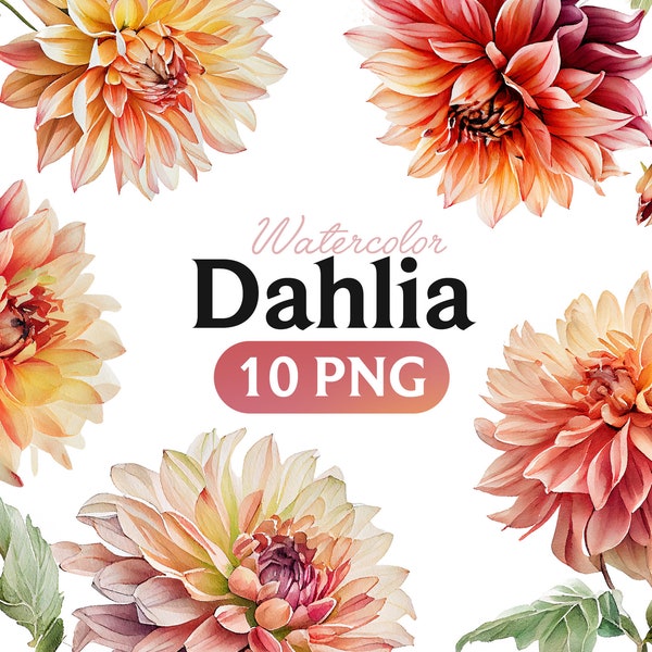 Dahlia Flowers Watercolor Clipart, Apricot Dahlia clipart, Summer flowers clipart, Floral Bundle PNG