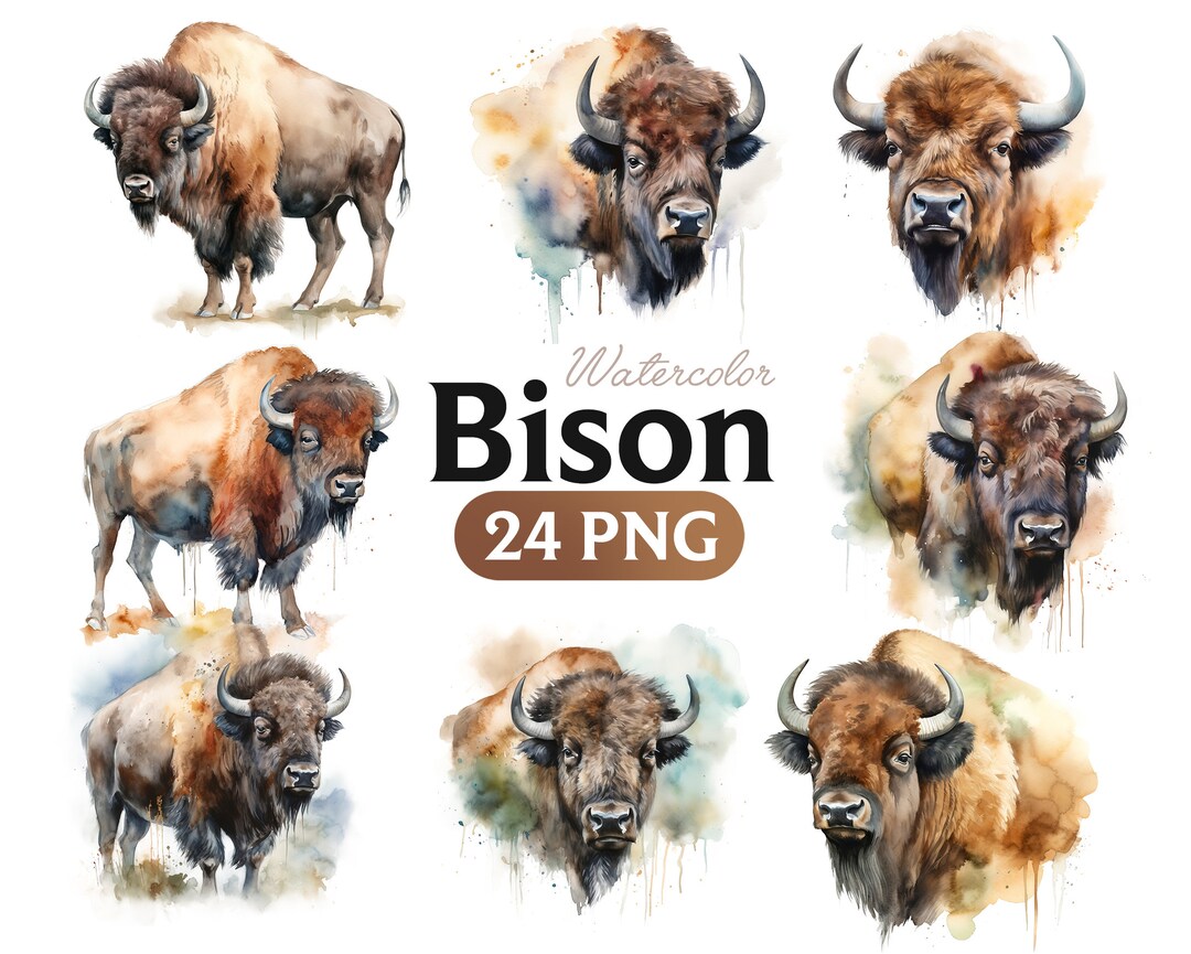 Watercolor Bison PNG: Transparent Files for Commercial Use - Etsy
