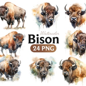 May include: Watercolor illustrations of bison in various poses, including full body and headshots. The illustrations are set against a watercolor background with splashes of color. The text "Watercolor Bison 24 PNG" is displayed in the center of the image.