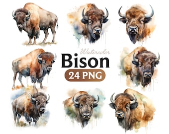 Watercolour Bison, Bison PNG, Transparent PNG Files, Commercial